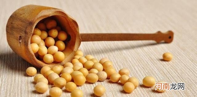 关于黄豆的基本介绍 黄豆的营养价值有哪些