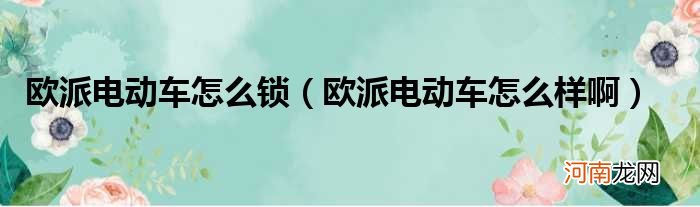 欧派电动车怎么样啊  欧派电动车怎么锁