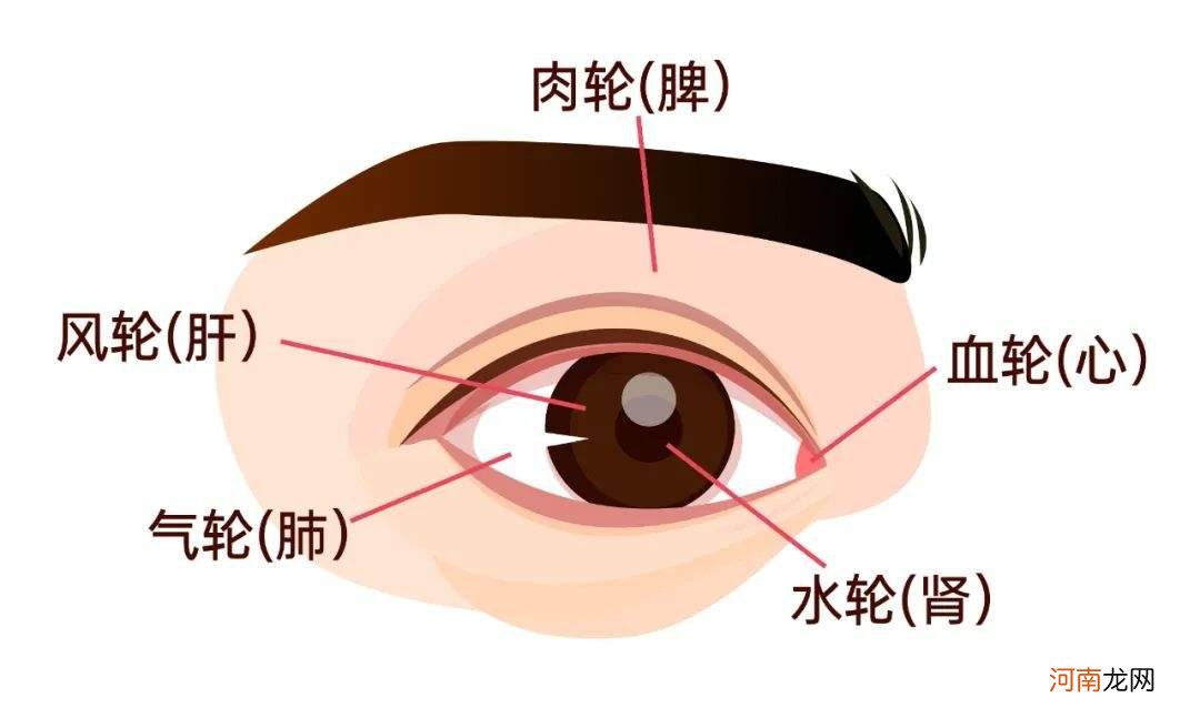 右眼角的眼皮一直在跳 右眼皮角最近一直跳