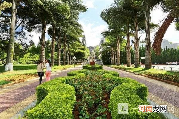 玉溪师范学院专升本招生简章2022 玉溪师范学院本科招生简章