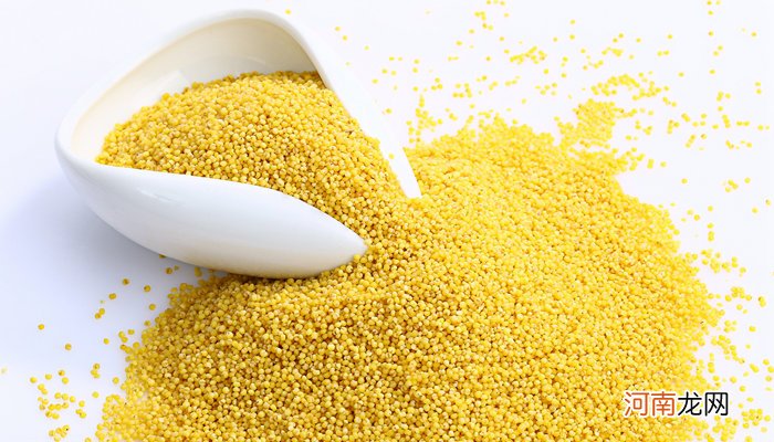 黄小米和小米的区别 黄小米和小米的区别有哪些