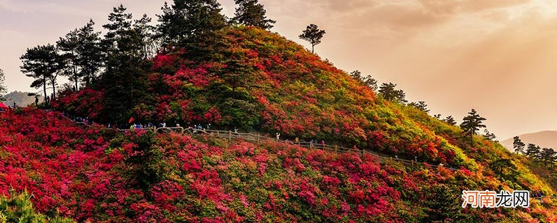 太白峰在哪个地方 太白峰在什么地方