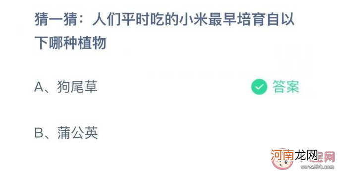 小米|人们平时吃的小米最早培育自以下哪种植物 蚂蚁庄园11月16日答案