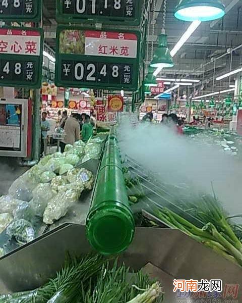 果蔬喷雾加湿怎么安装 喷雾加湿加蔬菜