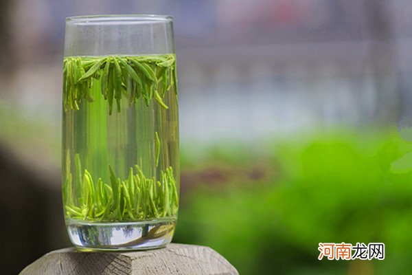 竹叶青茶怎么这么贵 竹叶青茶保存方法