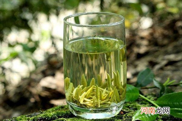 竹叶青茶怎么泡好喝 竹叶青茶怎么辨别好坏