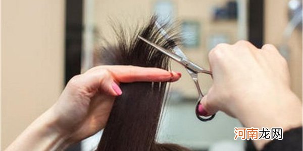剪头发用高端术语怎么说 剪头发就是人体无用副组织集体切除手术