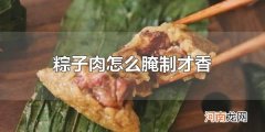 粽子肉怎么腌制才香 五花肉是最合适的粽子肉