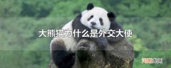 大熊猫为什么是外交大使