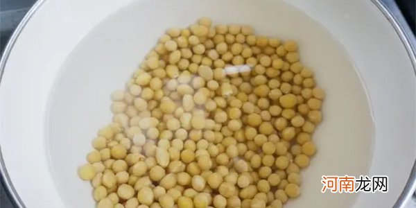榨豆浆放多少豆多少水 干黄豆和水的比例是1:12