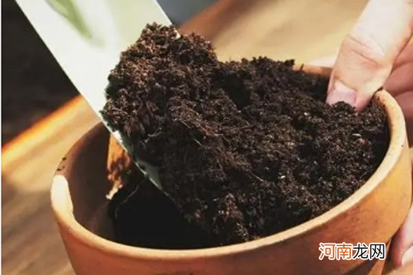 厨房剩油怎么倒掉 油炸食品的危害