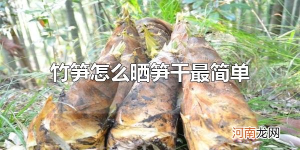 竹笋怎么晒笋干最简单 笋干怎么保存