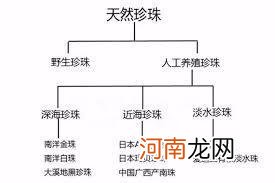 海水珍珠和淡水珍珠哪个好 淡水珍珠和海水珍珠的区别在哪里