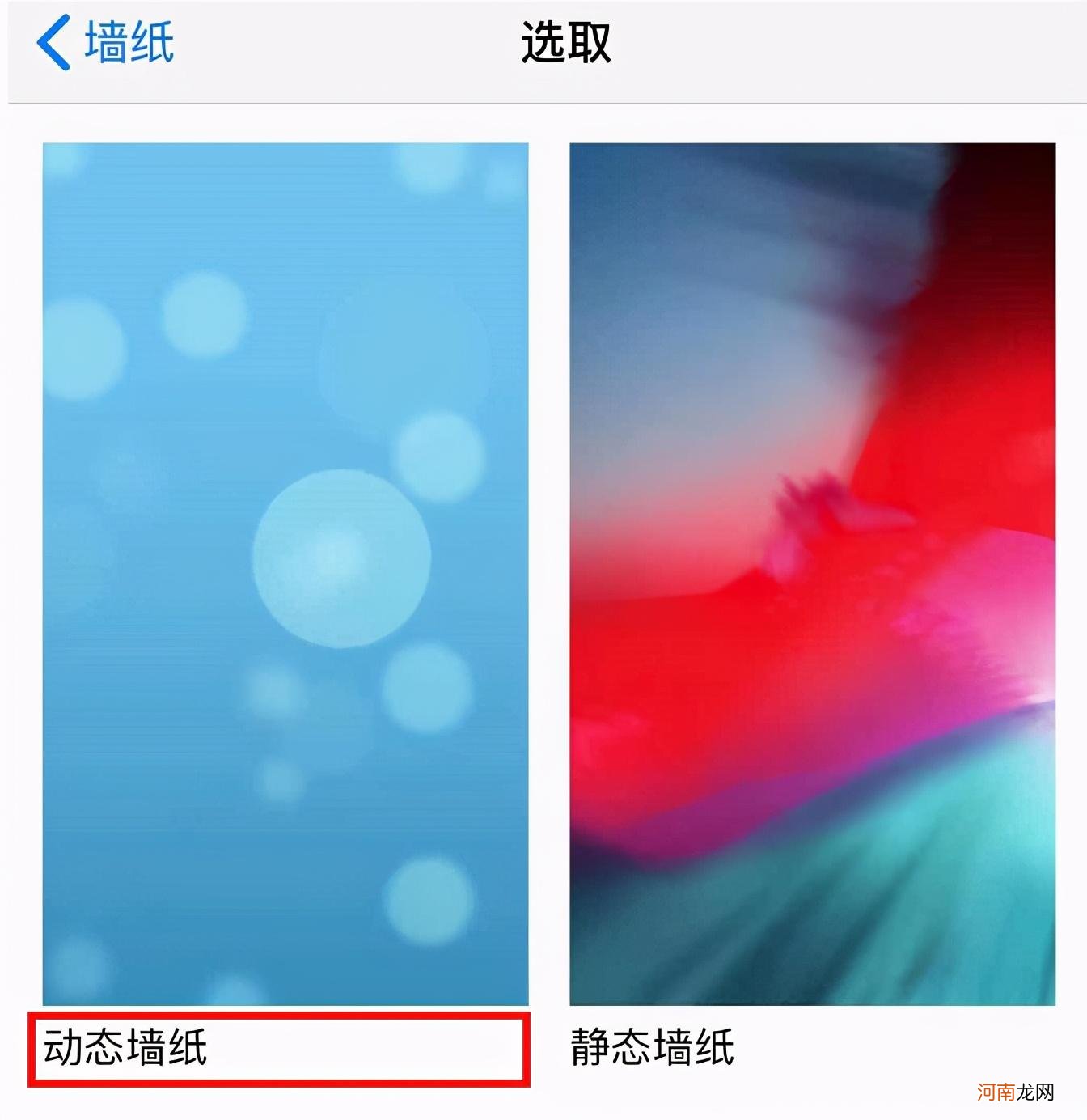 苹果设置自己的动态壁纸操作步骤 苹果手机怎么设置动态壁纸自定义