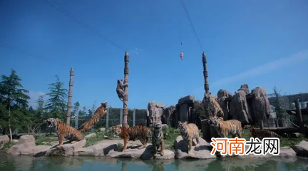 6月份去广州长隆动物园热吗