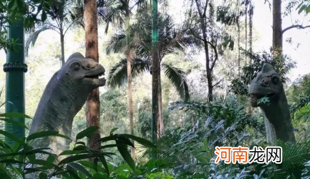6月份去广州长隆动物园热吗