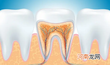 牙结石掉了牙龈空了牙齿会不会掉