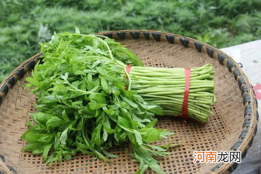 芦蒿和茼蒿有什么区别