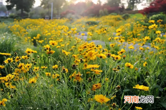 2022年6月有什么节日和纪念日