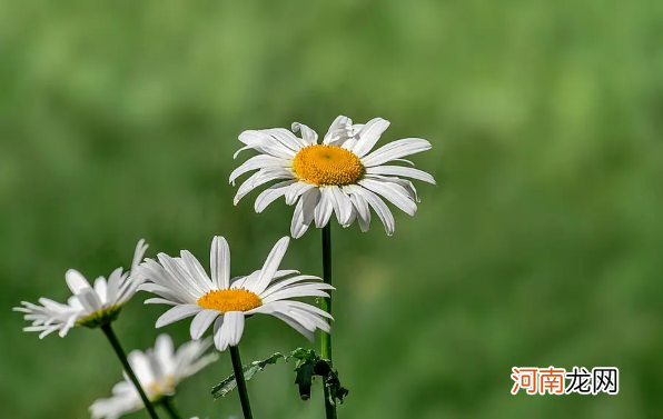 2022年6月有什么节日和纪念日