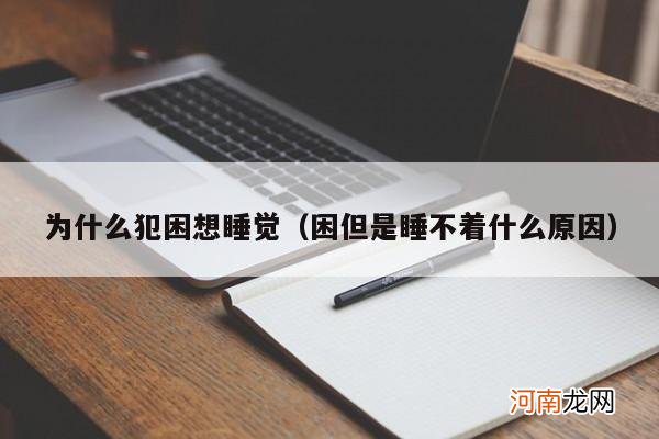 困但是睡不着什么原因 为什么犯困想睡觉