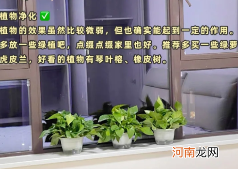 速蓝石真的可以吸收甲醛吗