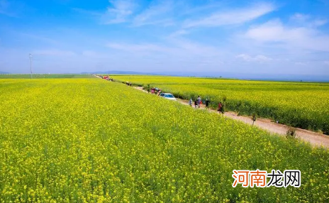 今年夏天2022年高温时间长吗