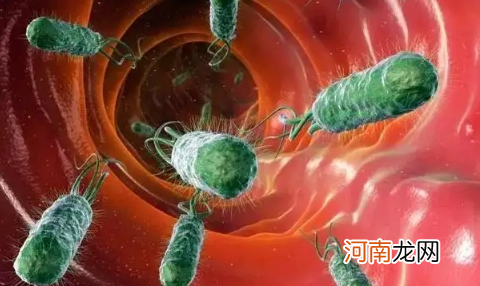 辣椒素能抑制幽门螺旋杆菌生长吗