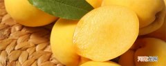 黄桃早熟品种有哪些 黄桃的早熟品种