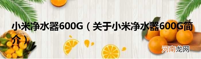 关于小米净水器600G简介  小米净水器600G