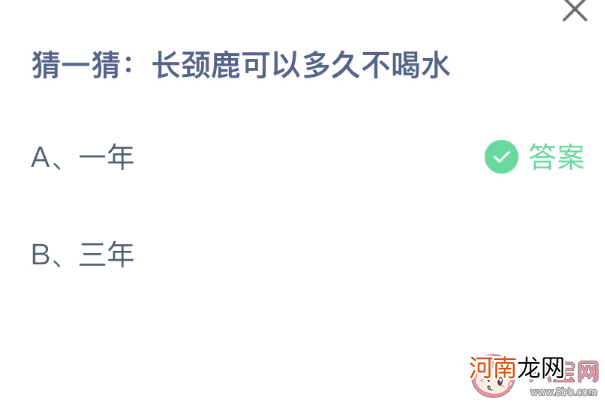 长颈鹿多久不喝水|猜一猜长颈鹿可以多久不喝水 蚂蚁庄园11月19日答案最新