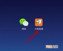 斗鱼怎么回看完整直播