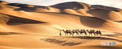 骆驼的本领是什么 骆驼有哪些本领