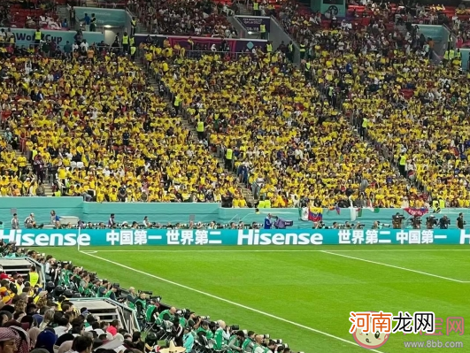 世界杯赛场|世界杯赛场中国第一广告牌亮了 如何看待海信的巨大广告