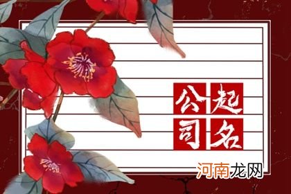 公司起名技巧2023年 简单大气公司名字