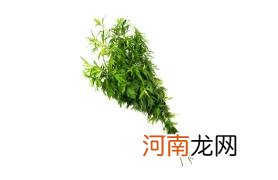 艾草杆子和艾草叶子哪个效果好