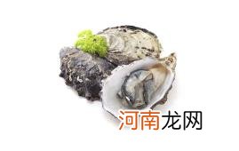 生蚝怎么开壳简单又快又完整