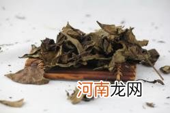 大叶茶的功效与作用