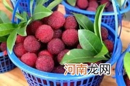 杨梅和牛奶能不能一起吃