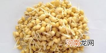 黄豆芽怎么生最好 生黄豆芽的器具能粘油吗