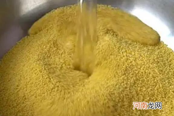 小米瘦肉粥的做法 小米可以搭配什么熬粥