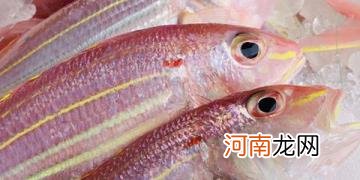 市场上卖的红色海鱼叫什么 红目鲢是海鱼吗
