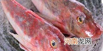 市场上卖的红色海鱼叫什么 红目鲢是海鱼吗