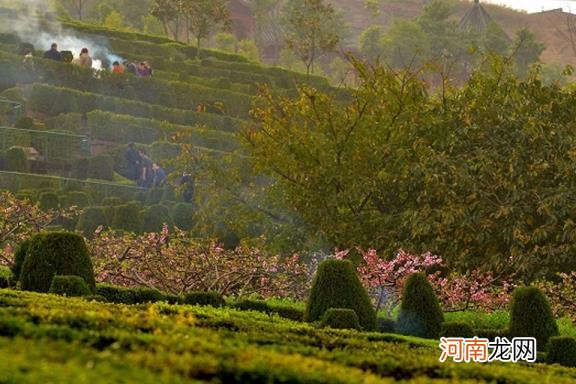 清明节的来历和风俗 清明节设扫墓假期是从哪个朝代开始的