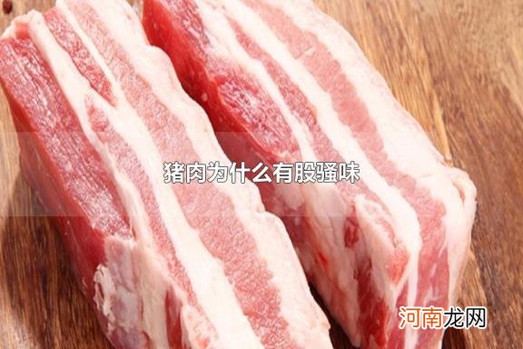 猪肉为什么有股骚味 怎样去除猪肉的猪骚味