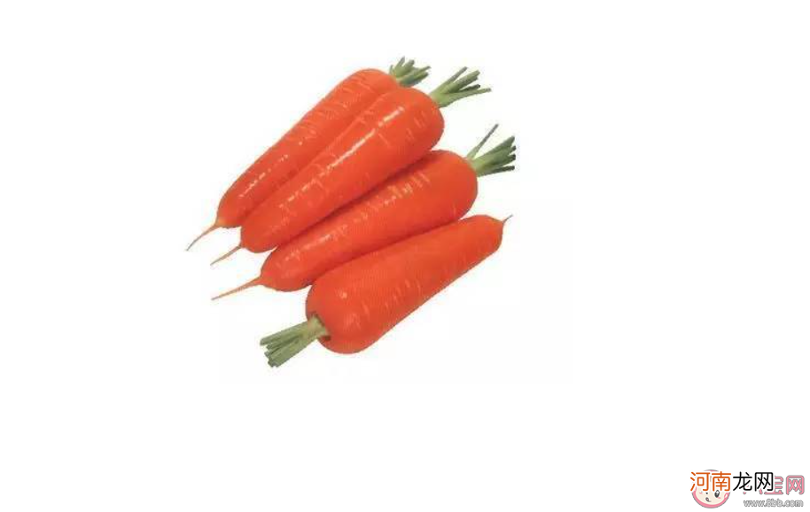 胡萝卜|平常吃的胡萝卜是它的根还是果实蚂蚁庄园11月24日正确答案