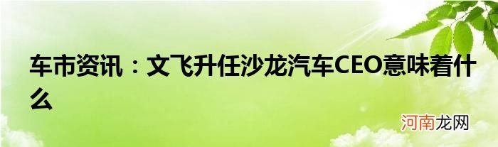 车市资讯：文飞升任沙龙汽车CEO意味着什么