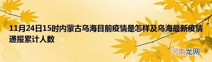 11月24日15时内蒙古乌海目前疫情是怎样及乌海最新疫情通报累计人数