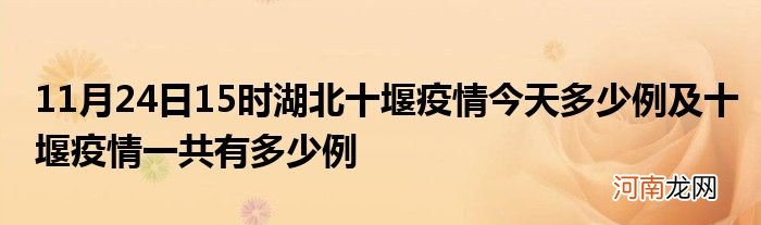 11月24日15时湖北十堰疫情今天多少例及十堰疫情一共有多少例