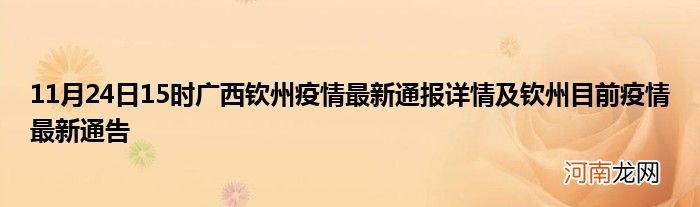 11月24日15时广西钦州疫情最新通报详情及钦州目前疫情最新通告